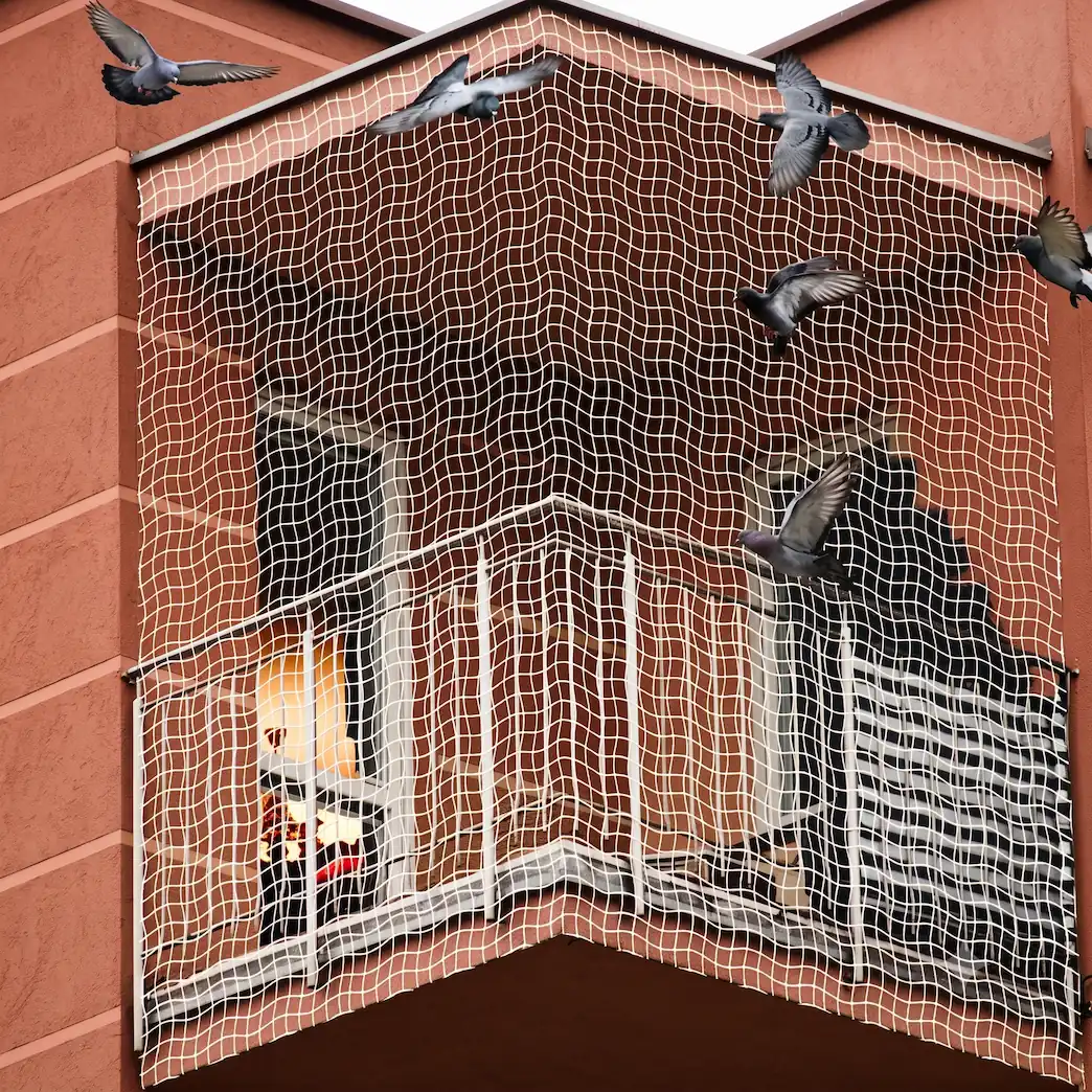 Pigeon net installation on balcony in Hyderabad — Tap to Easy